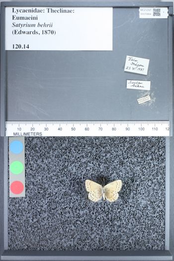 Media type: image;   Entomology 70864